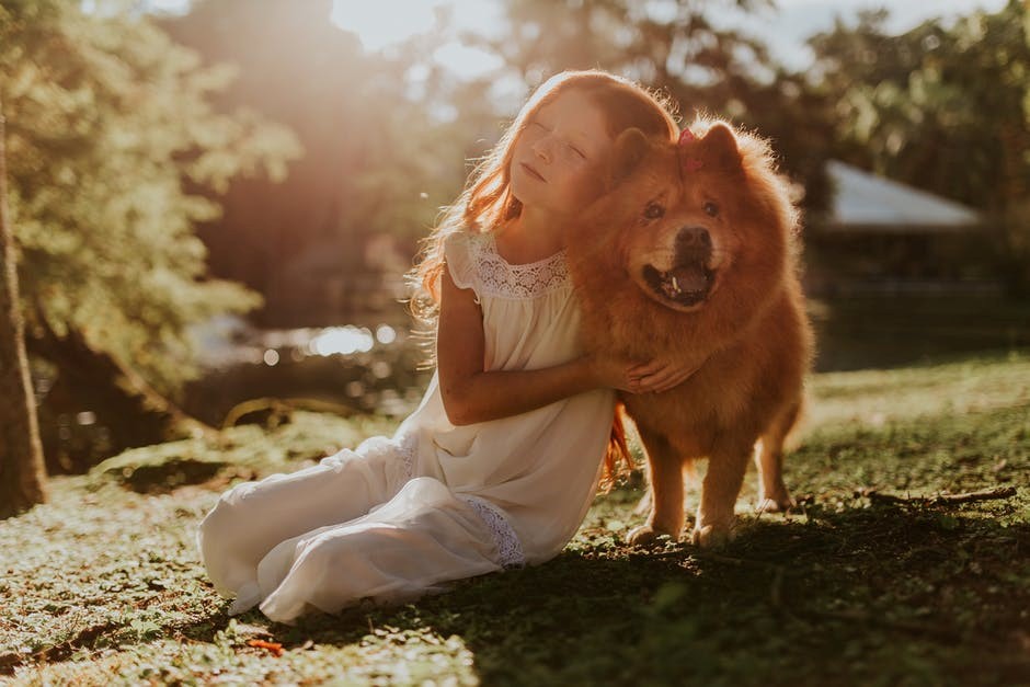 Why getting a pet for your child is a great idea?